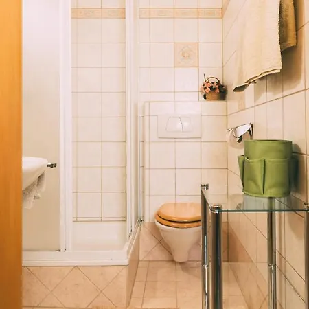 Pichlerhof Sommmercard - Urlaub Am Bauernhof Apartamento Birnberg